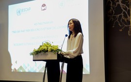 Viet Nam makes great strides in improving living standards: UN Resident Coordinator