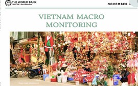 Viet Nam should extend implementation of economic support program into next year: WB
