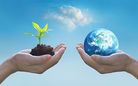 Viet Nam successfully reduces 35% of HCFCs consumption in 2020-2024