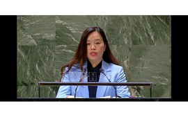 Viet Nam contributes US$500,000 to support UN’s humanitarian efforts in Gaza
