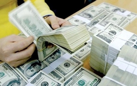 Remittances hit over US$190 billion in 1993-2022 period