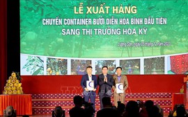 Viet Nam exports first batch of “Dien” pomelos to U.S.