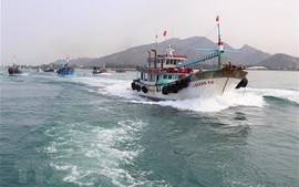 Viet Nam, Thailand cooperate to fight illegal fishing