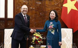 Acting President hosts receptions for new Ambassadors to Viet Nam