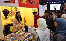 Viet Nam impresses visitors at international cultural festival
