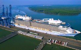 Luxury cruise ship brings nearly 4,000 int’l guests to Viet Nam