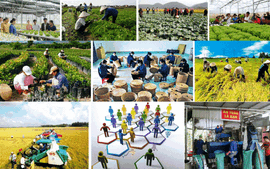 Gov't rolls out action plan to raise collective economy efficiency