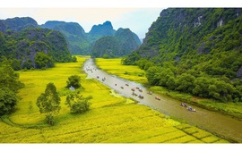 Ninh Binh among top 10 most welcoming regions: Traveller Review Awards