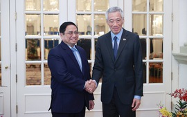 Vietnamese, Singaporean Prime Ministers hold talks