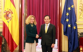 Deputy PM meets Spanish President of the Congress of Deputies