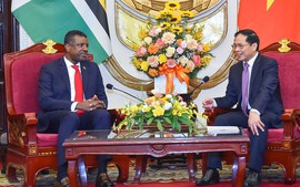 Viet Nam-Dominica to strengthen ties, expand cooperation
