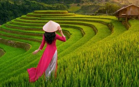 Viet Nam enters Top 5 destinations for summer vacation
