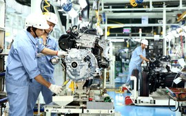 Gov't adopts action plan on foreign investment cooperation through 2030