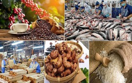 Farm-forestry-aquatic exports hit over US$11 bln in Q1