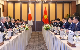 Prime Minister calls on Japan to invest in new sectors in Viet Nam