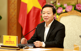Deputy PM Tran Hong Ha leads Committee on Population and Development