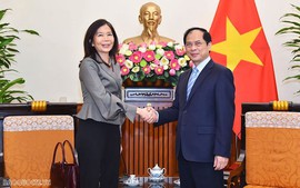 Viet Nam calls for UN organizations' cooperation in prioritized areas