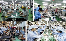 Business sector to contribute 65-70% of Viet Nam’s GDP by 2025