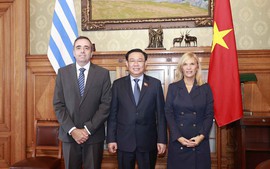 Viet Nam, Uruguay sign first-ever legislative cooperation agreement