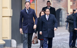 Prime Minister Mark Rutte hails 50th anniversary of Viet Nam-Netherlands diplomatic ties