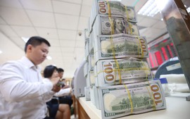 Viet Nam’s forex reserves to hit US$95 bln by year’s end: Moody forecast