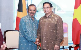Viet Nam willing to support Timor-Leste to soon become ASEAN member