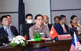 Foreign minister highlights significance of Viet Nam's messages at 42nd ASEAN Summit