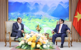 Prime Minister suggests IMO improve Viet Nam’s maritime capacity