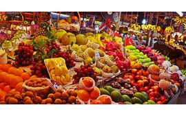 Fruit and vegetable exports may reach US$4 billionthis year