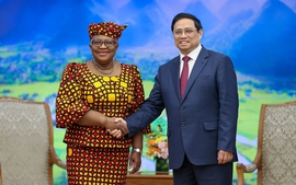 Prime Minister receives WTO leader
