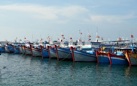 EC reschedules IUU inspection in Viet Nam