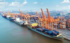 Seaport cargo volume nearly doubles in seven years