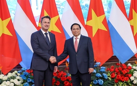 Viet Nam, Luxembourg establish strategic partnership on green finance