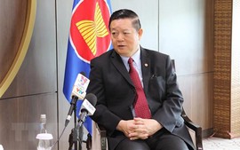 Viet Nam makes important, active contributions to ASEAN: ASEAN Secretary-General