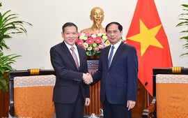 Viet Nam, Thailand foster collaboration in new sectors