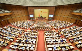 National Assembly adopts two revised laws, one resolution
