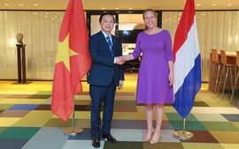 Deputy Prime Minister Tran Hong Ha holds talks with Dutch counterpart