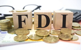 FDI disbursements rise slightly in January-June