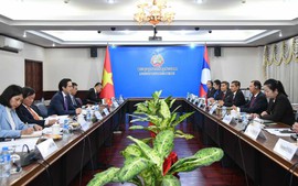 Viet Nam, Laos hold 8th Political Consultation