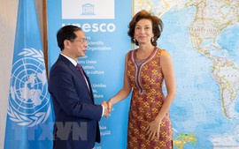 Viet Nam is a successful example in linking economic development and culture: UNESCO Director-General