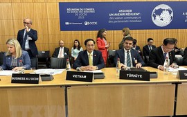 Foreign Minister attends meeting of OECD Council at Ministerial Level