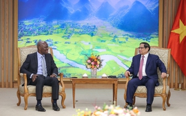 Prime Minister hosts ILO Director-General