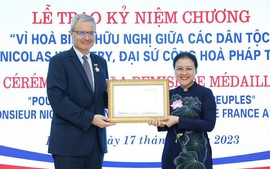 Viet Nam's friendship insignia awarded to French Ambassador