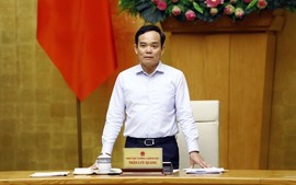 Deputy PM Tran Luu Quang to visit Egypt, Israel