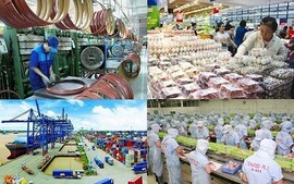 UK to recognize Viet Nam as market economy in trade remedy investigations