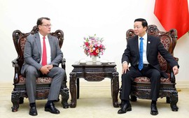 Viet Nam pledges to facilitate clean and renewable energy projects: Deputy PM