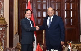 Deputy PM meets top Egyptian legislators