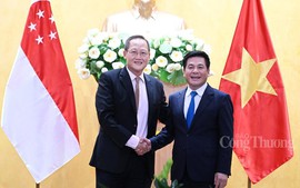 Minister of Industry and Trade holds talks with Singaporean counterpart