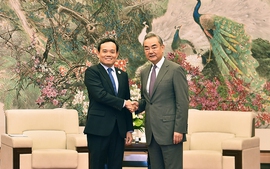 Viet Nam treasures comprehensive strategic cooperative partnership with China