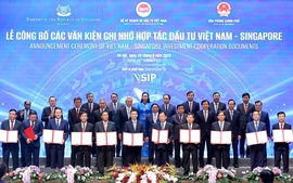 Viet Nam, Singapore establish more joint industrial parks